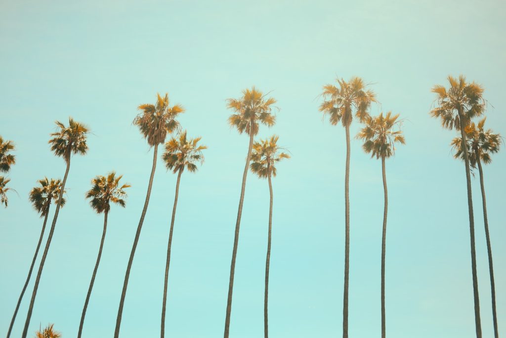 vivir en San Bernardino