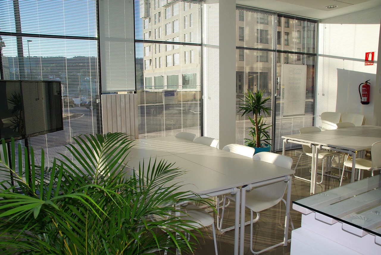 Coworking Tbilisi para nómadas digitales