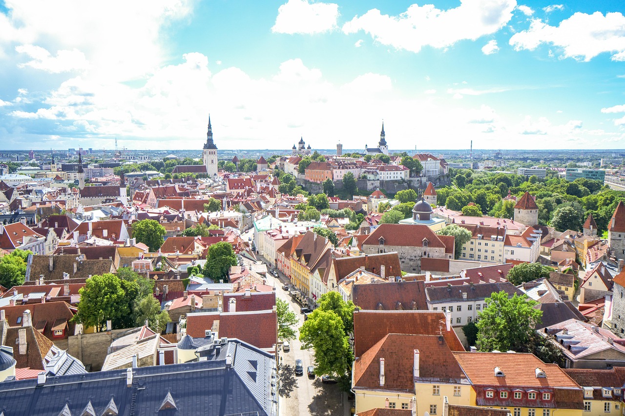Visa nómada digital Estonia requisitos